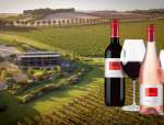 Barossa Valley Wines to Savour This Winter - With Matching Dishes